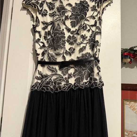 Elegant Tadashi Shoji Gown - Picture 2 of 6